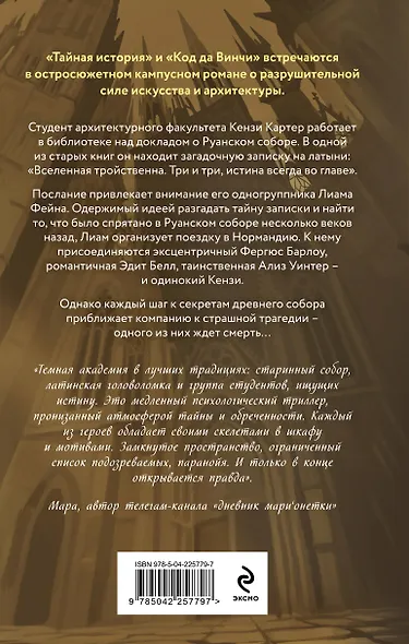 Собор темных тайн - фото 2