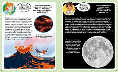 Сколько? 100 вопросов и ответов в картинках - фото 10