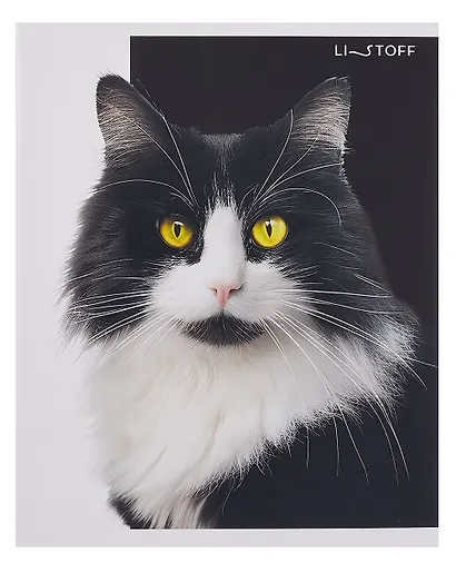 Тетрадь 48л кл. "Черно-белые животные" мел.картон, ассорти - фото 3