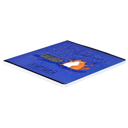 Тетрадь предметная в клетку Феникс+, "Любознательные коты. Химия", 48 листов - фото 2