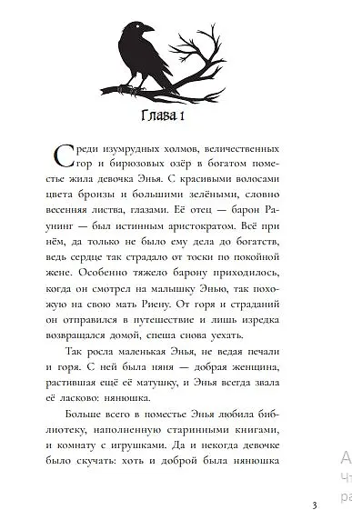 Дитя ворона - фото 3