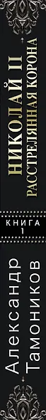 Николай II. Расстрелянная корона. Книга 1 - фото 5
