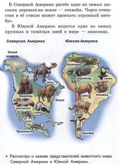 Изучаем окружающий мир (6-7 лет) - фото 4