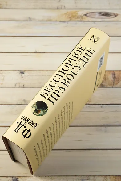 Бесспорное правосудие - фото 6