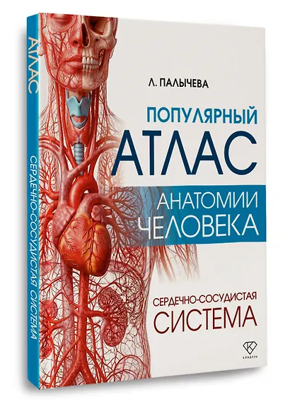 Популярный атлас анатомии человека. Сердечно-сосудистая система - фото 3