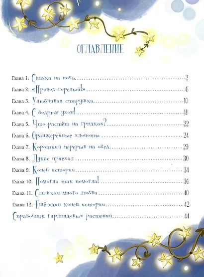 Тётушка Сияние - фото 3