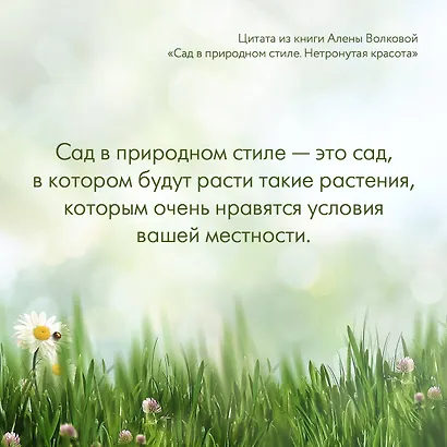 Сад в природном стиле. Нетронутая красота - фото 8
