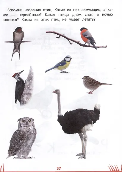 Энциклопедия дошкольника. 6-7 лет - фото 6