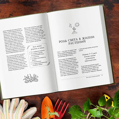 Больше, чем 5 соток. Как на маленьком участке получить максимум урожая - фото 8