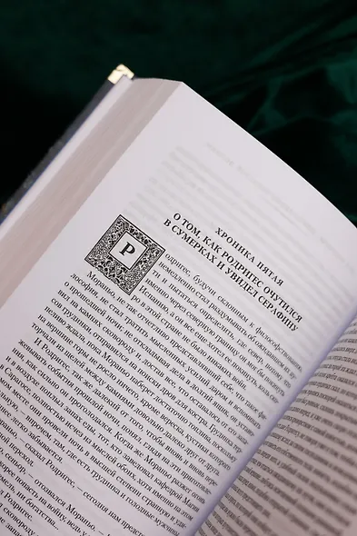 Человек, который съел феникса. Хроники Тенистой Долины - фото 14