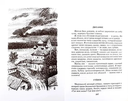 Матренин двор  / Один день Ивана Денисовича, рассказы из цикла Крохотки - фото 5