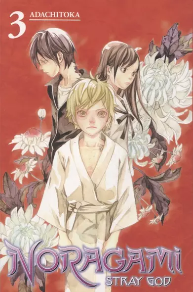 Noragami: Stray God (на английском языке). Том 3 (Бездомный бог). Манга - фото 1