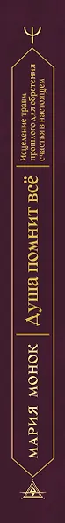 Душа помнит всё. Исцеление травм прошлого для обретения счастья в настоящем - фото 5