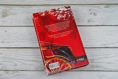 Аня из Зеленых Мезонинов - фото 14