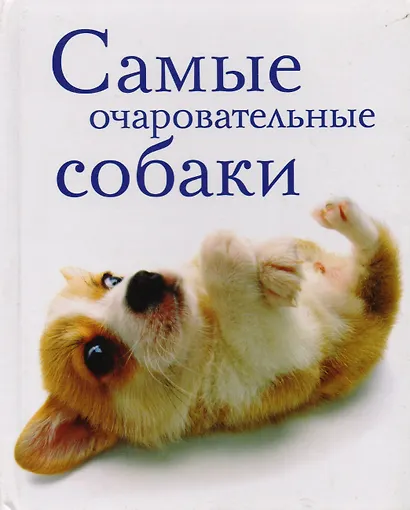 Самые очаровательные собаки - фото 1