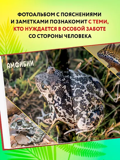 Красная книга России: животные, растения, птицы, насекомые. Энциклопедия редких видов - фото 7