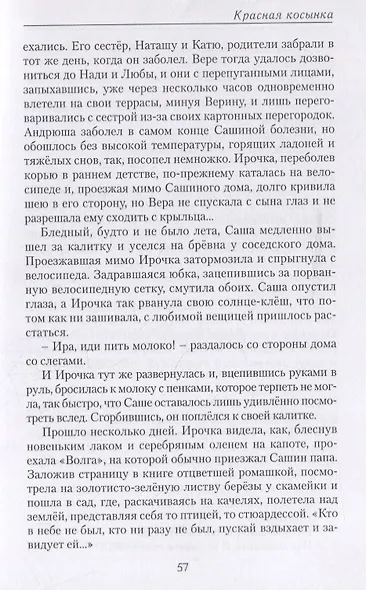 Красная косынка. Рассказы и миниатюры - фото 5
