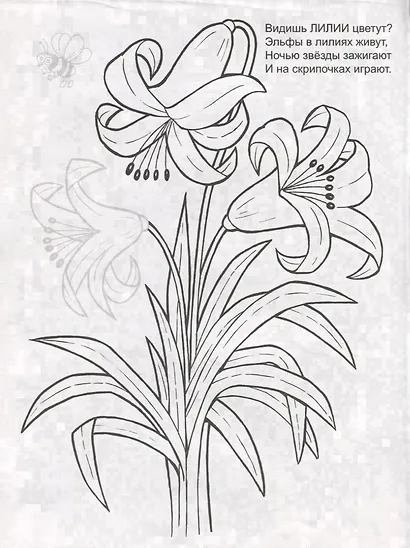 Цветочное лето. Раскраска с наклейками - фото 2