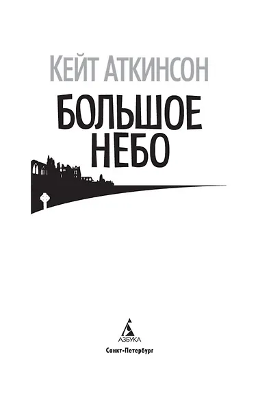 Большое небо - фото 5