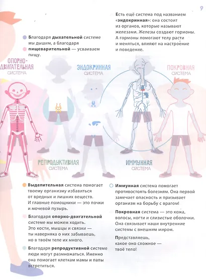 Человек - фото 4