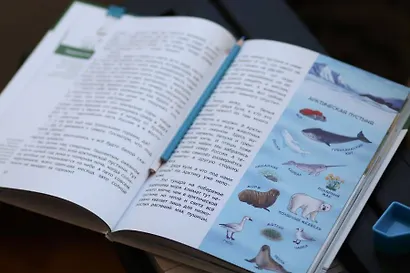 Наша страна Россия. Детская энциклопедия - фото 10