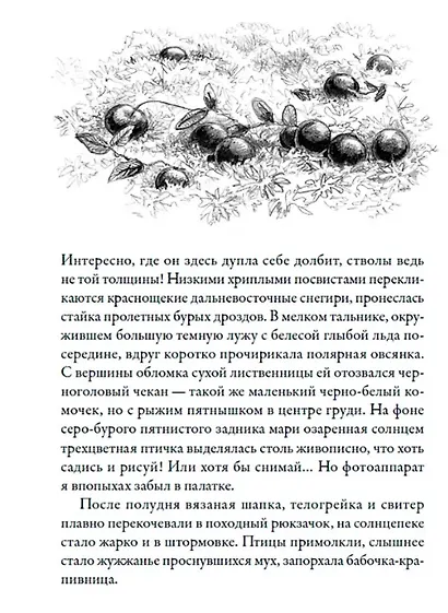 В верховьях «русской Амазонки»: Хроники орнитологической экспедиции - фото 5