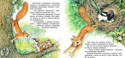 Приключения бельчонка - фото 2