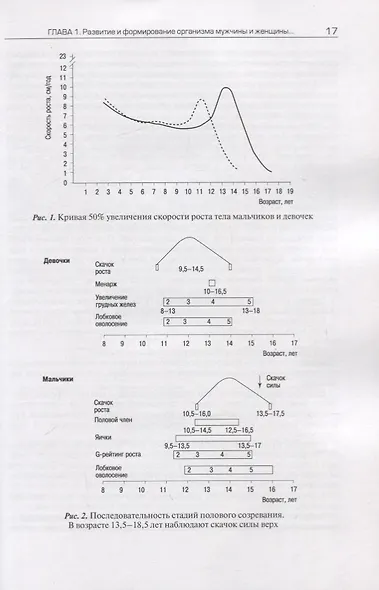 Мужчина и женщина в спорте высших достижений (проблемы полового диморфизма) - фото 5