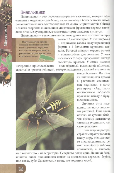 ЭНЦИКЛОПЕДИЯ. В МИРЕ ЗНАНИЙ. УДИВИТЕЛЬНЫЙ МИР НАСЕКОМЫХ - фото 5