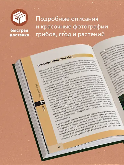 Лесной гид: грибы, ягоды, травы. Карманный атлас-определитель - фото 5