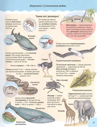 Животные. Детская иллюстрированная энциклопедия - фото 5