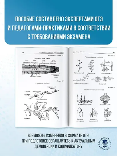 Готовимся к ОГЭ за 30 дней. Биология - фото 4
