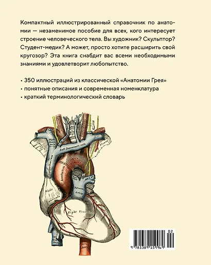 Анатомия - фото 2