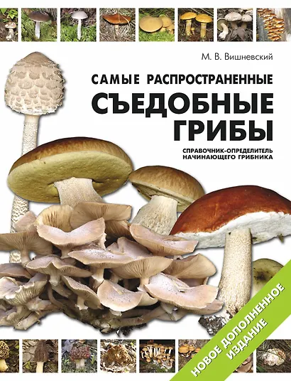 Самые распространенные съедобные грибы. Справочник-определитель грибника: новое дополненное издание - фото 1