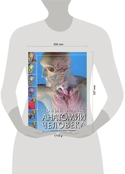 Новый атлас анатомии человека - фото 2