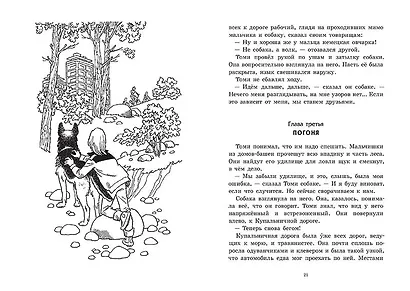 Овчарка Рой - фото 3