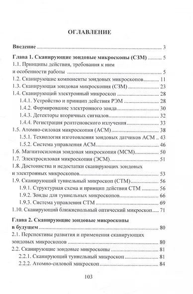 Сканирующие зондовые микроскопы - фото 2