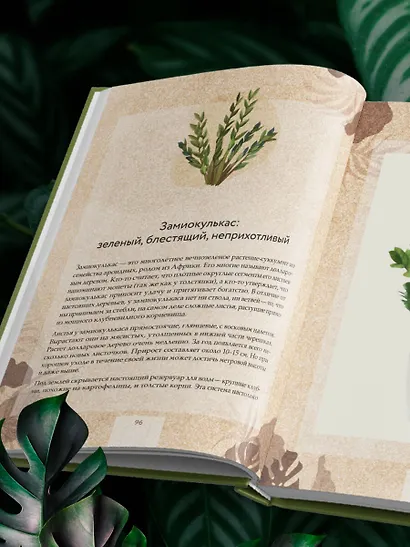 Зеленая комната. Как стать повелителем домашних джунглей - фото 11