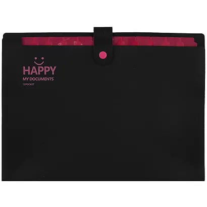 Папка на кнопке А4 12отд., ассорти - фото 3