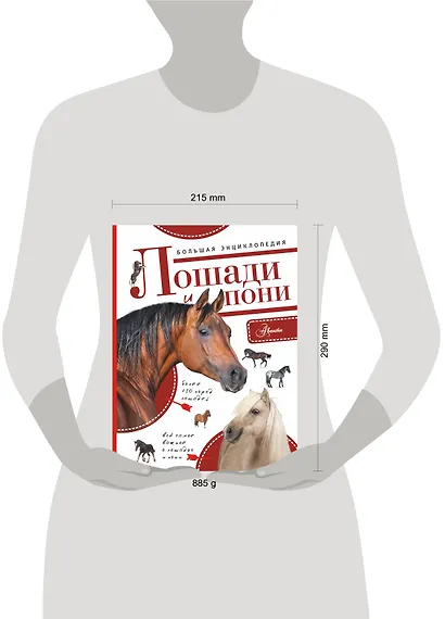 Большая энциклопедия. Лошади и пони - фото 3