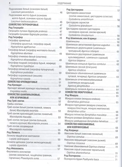 Грибы Полная илл. энциклопедия Более 400 видов грибов... (Куреннов) - фото 6