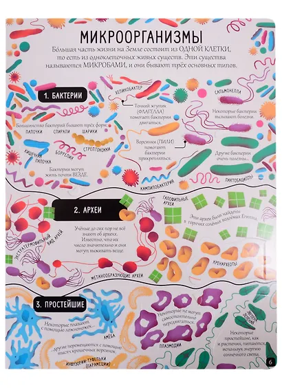 Открой тайны. Биология. Более 80 секретных створок - фото 5