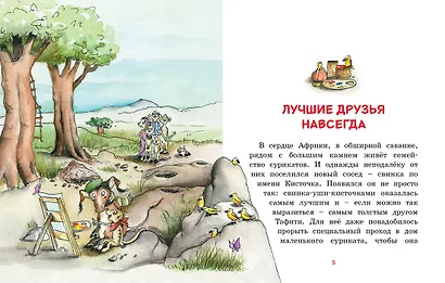 Тафити и летающая корзина - фото 2