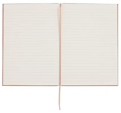 Книга для записей А5 80л лин. "Ideas & Things" беж., Schiller - фото 4