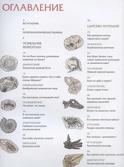 Животные затерянного мира - фото 2