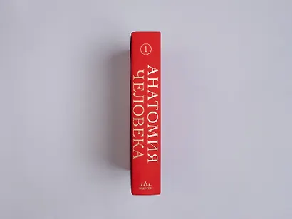 Анатомия человека. Эксклюзивное издание с 50-летней историей. Том 1 - фото 13