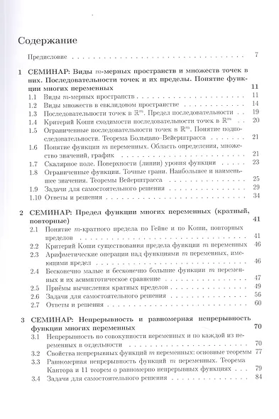 Курс семинаров по математическому анализу (самоучитель). Книга 4. Функции многих действительных переменных: дифференциальное исчисление - фото 2