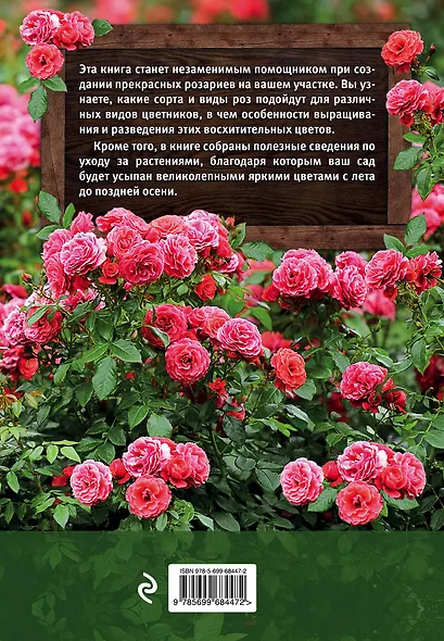 Розарий на дачном участке - фото 2