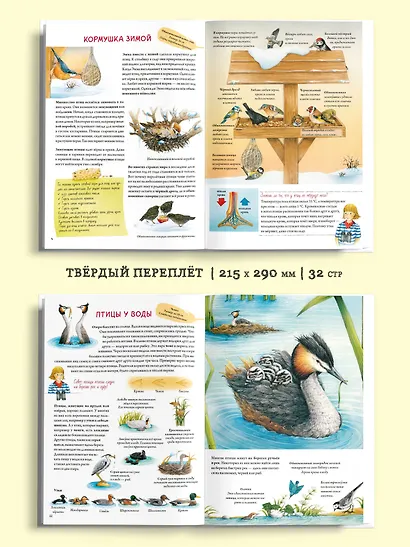 Книга о птицах. BIObook А. Толмачёва - фото 5