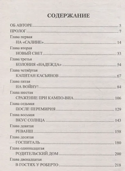Чако. Своя чужая война - фото 3